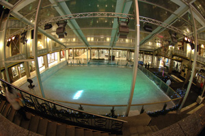 patinoire verte